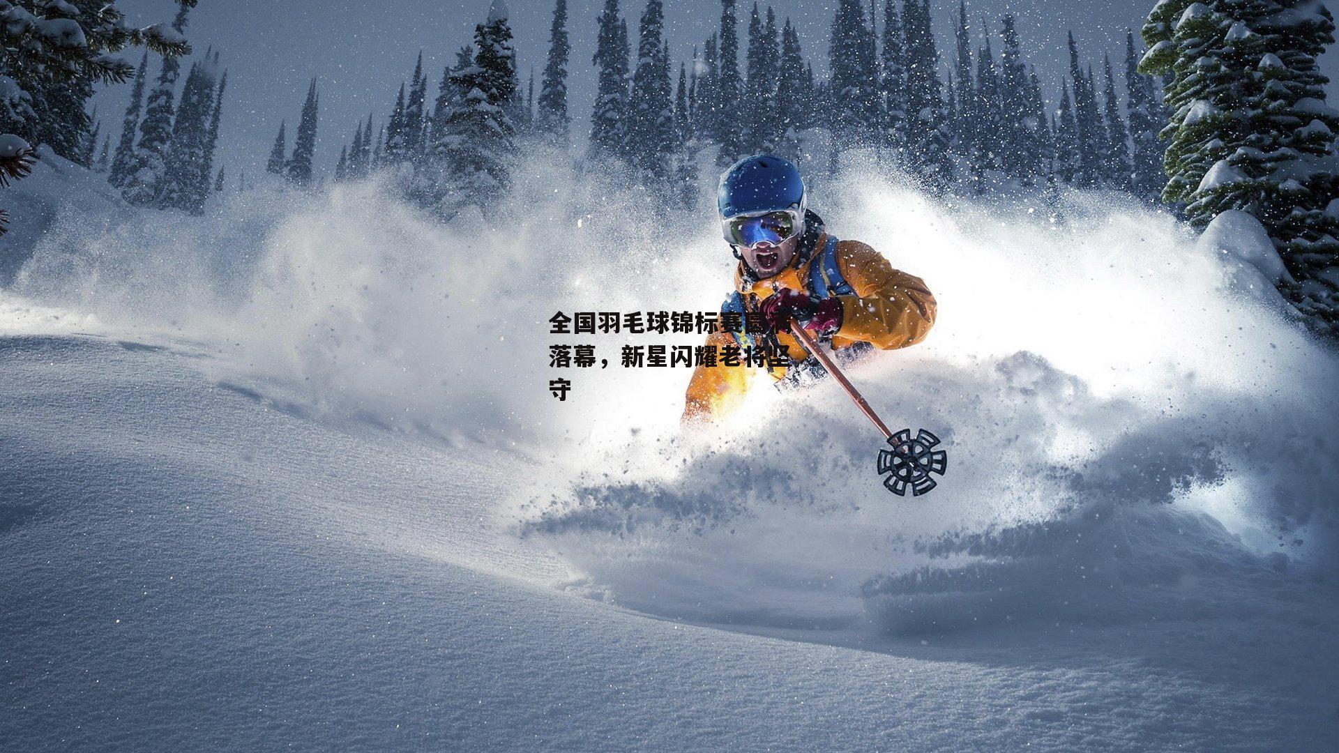 全国羽毛球锦标赛圆满落幕,新星闪耀老将坚守