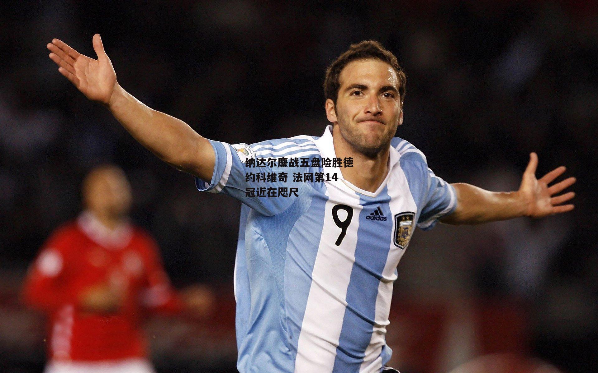 纳达尔鏖战五盘险胜德约科维奇 法网第14冠近在咫尺